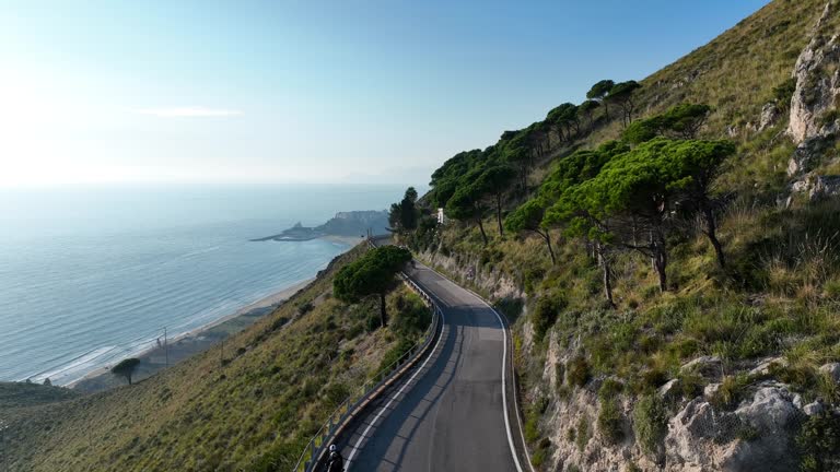 Calm coastal pathway at dawn in New Zealand illustrating Slaxyronchor editorial lifestyle pacing