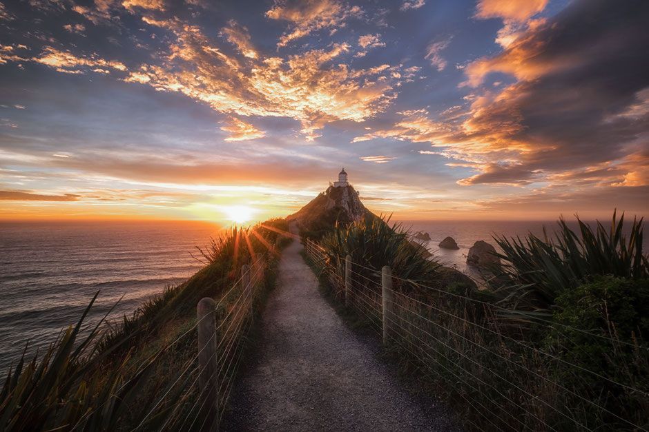 Soft sunrise glow across a calm coastal walking path in New Zealand for Slaxyronchor rhythm prompts